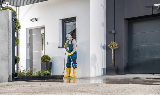 Animal Enclosure Cleaning in Balcones Heights, TX